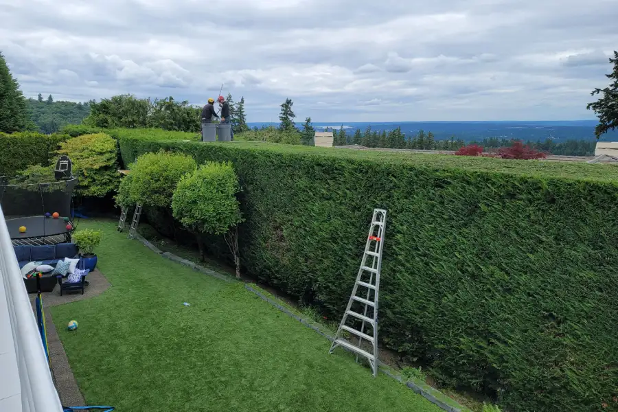 Reliable Tree Service Company