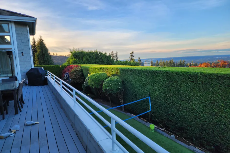 Professional Tree Services